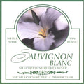 Wine Labels | Sauvignon Blanc | 30 per Pack