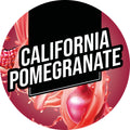 Fruit Winemaking Kit – image 4